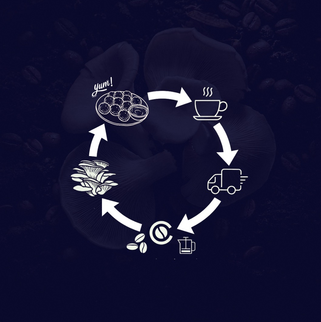 circular solution